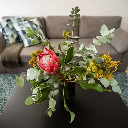 Lovely In The Center Apartment *