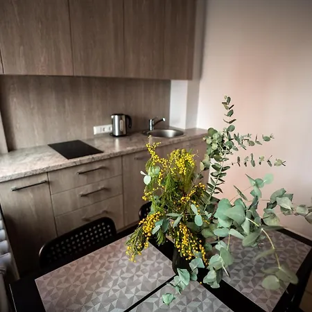 Lovely In The Center * Kaunas