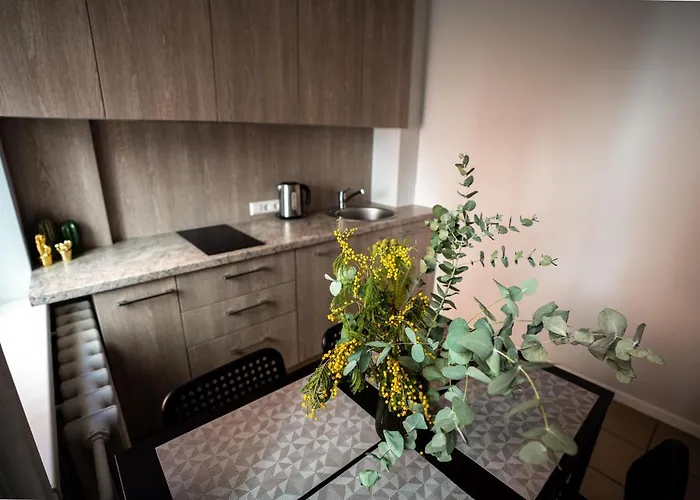 Lovely In The Center * Kaunas