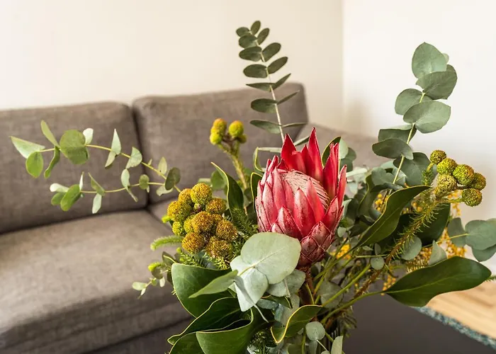 Appartement Lovely In The Center